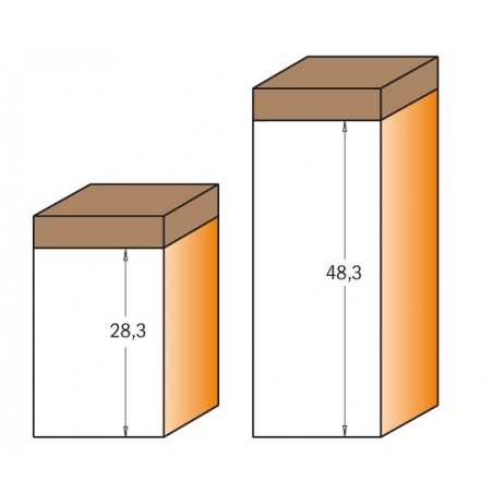 Frez HM D 19 I 48.3 L 99.8 S 12+łożysko górne