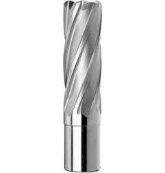 Tubular trepanning pipe drill bit with two flattened HSS shank